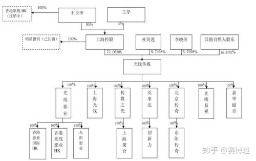 光线传媒公司的发展历程 光线传媒系列研究 一